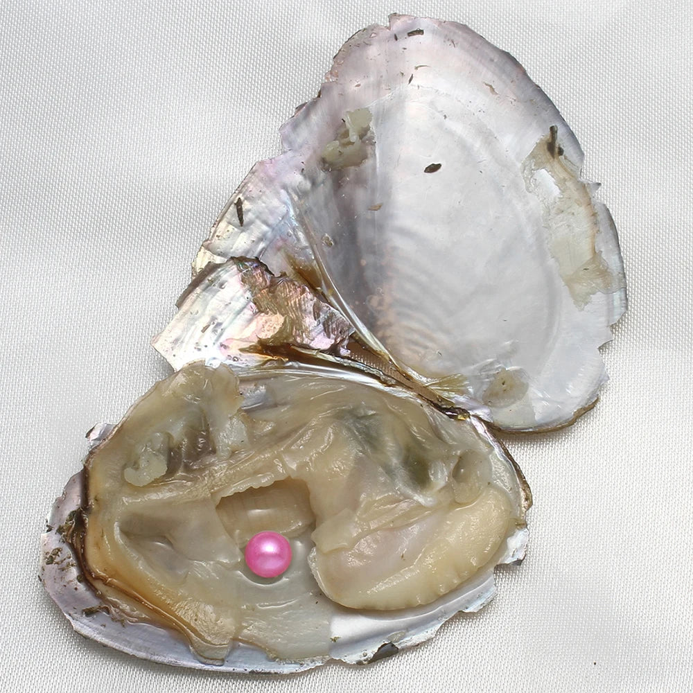 Single Pearl Vacuum-pack Oyster Beautiful Nature Gifts 10PCs/Lot