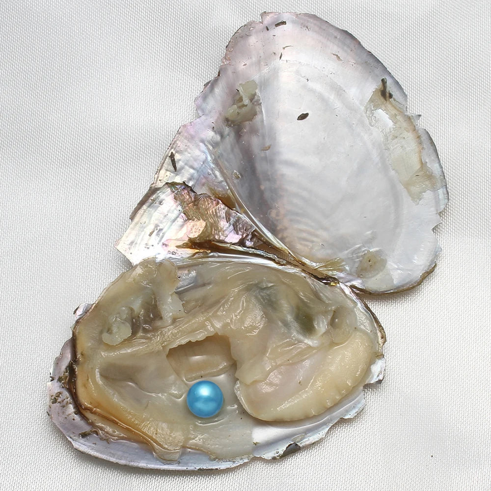 Single Pearl Vacuum-pack Oyster Beautiful Nature Gifts 10PCs/Lot