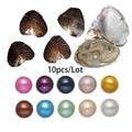 Single Pearl Vacuum-pack Oyster Beautiful Nature Gifts 10PCs/Lot