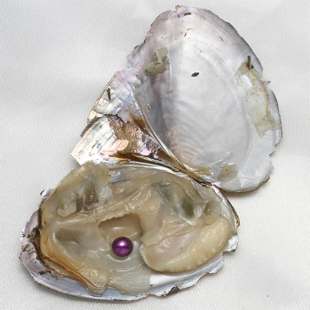 Single Pearl Vacuum-pack Oyster Beautiful Nature Gifts 10PCs/Lot