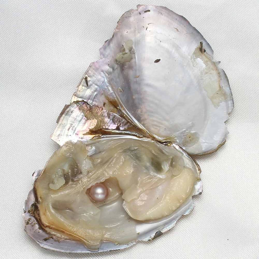 Single Pearl Vacuum-pack Oyster Beautiful Nature Gifts 10PCs/Lot