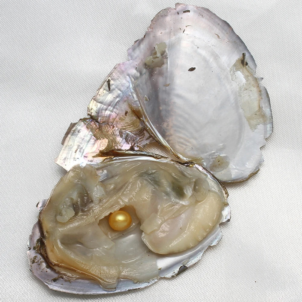Single Pearl Vacuum-pack Oyster Beautiful Nature Gifts 10PCs/Lot
