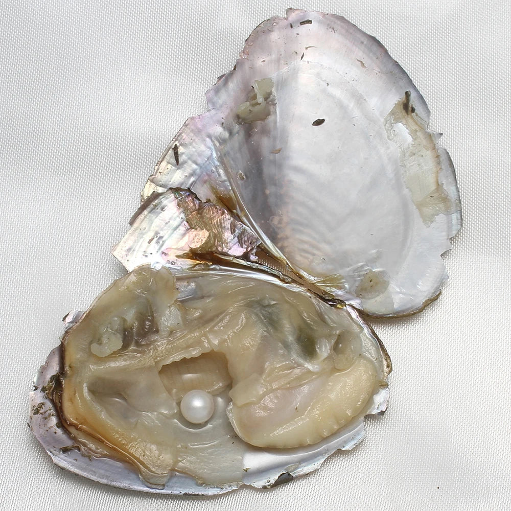 Single Pearl Vacuum-pack Oyster Beautiful Nature Gifts 10PCs/Lot